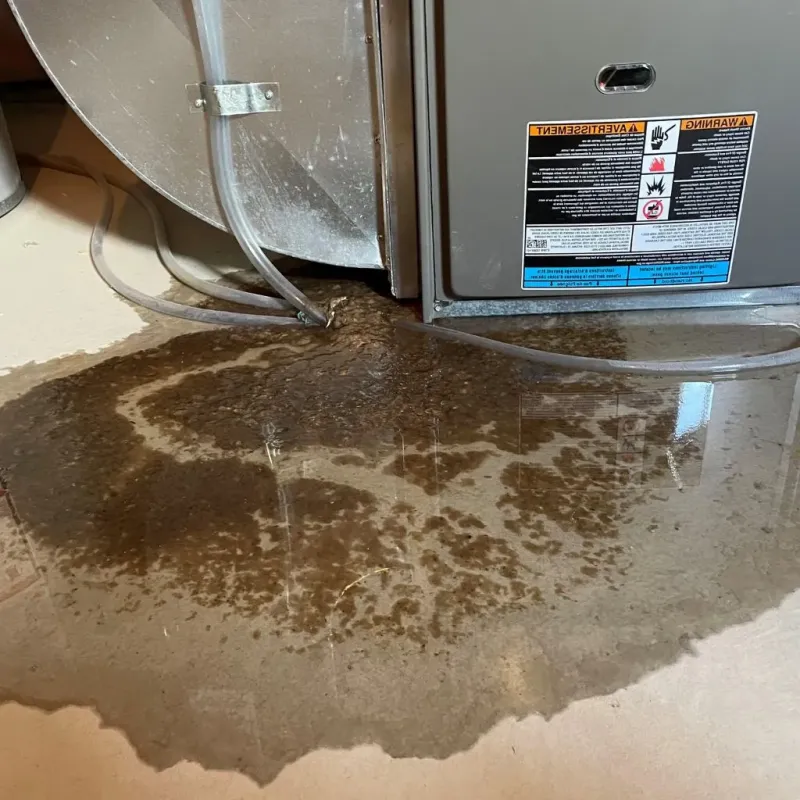 Pipe Burst and Leak Restoration in Centerville, UT